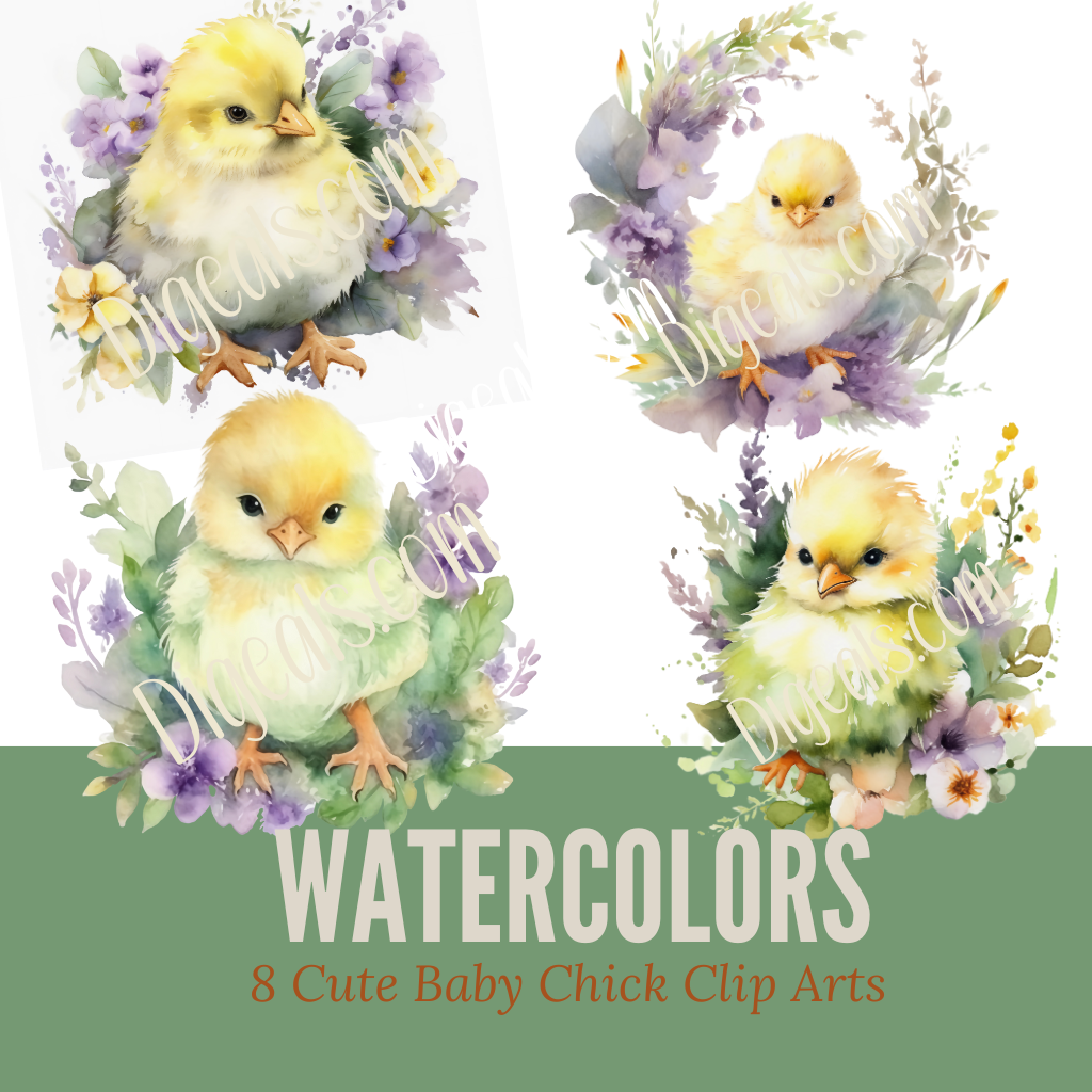 Watercolor Baby Chick Clipart - Digeals